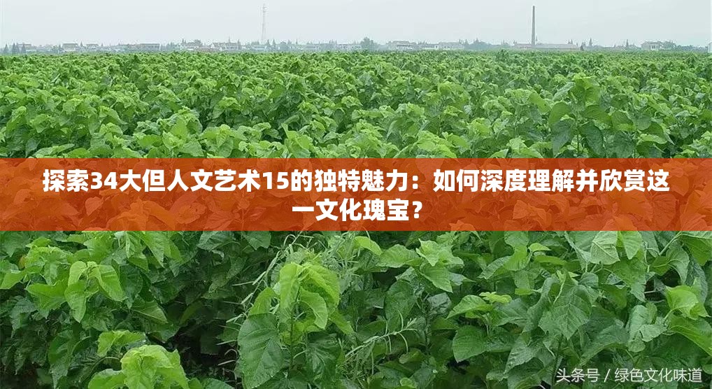 探索34大但人文艺术15的独特魅力：如何深度理解并欣赏这一文化瑰宝？