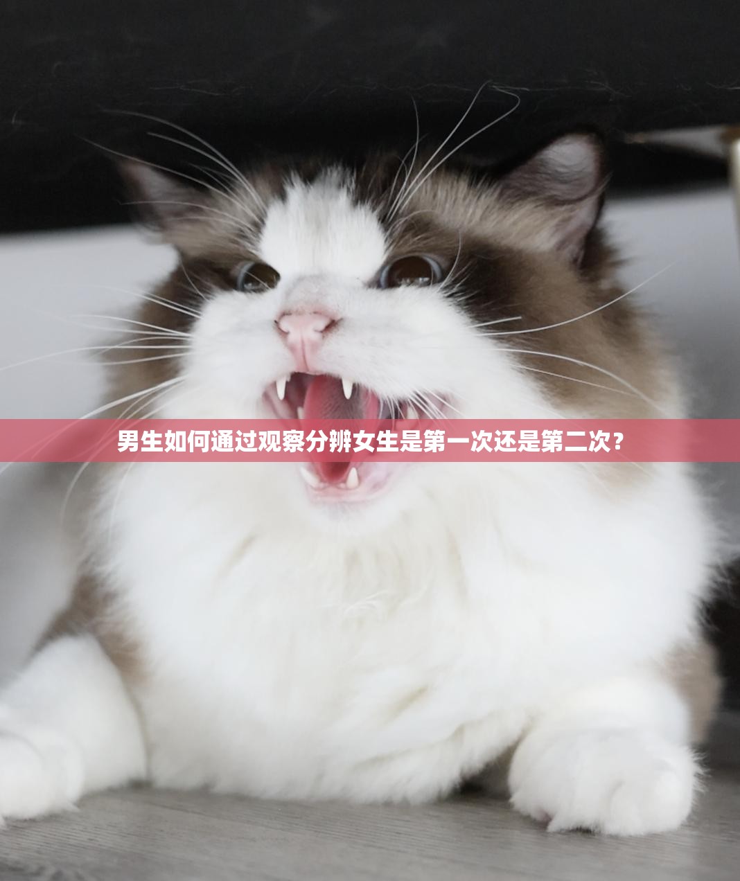 男生如何通过观察分辨女生是第一次还是第二次？