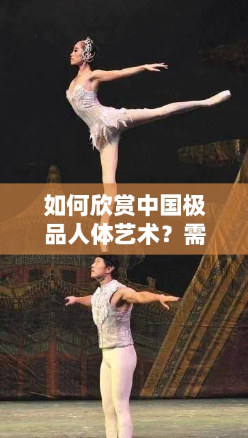 如何欣赏中国极品人体艺术？需要注意的是，人体艺术是一种艺术形式，它的价值在于表达美和情感，而不是或低俗的内容因此，在欣赏人体艺术时，我们应该保持尊重和理性，不要过度追求刺激和低俗的内容