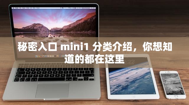 秘密入口 mini1 分类介绍，你想知道的都在这里