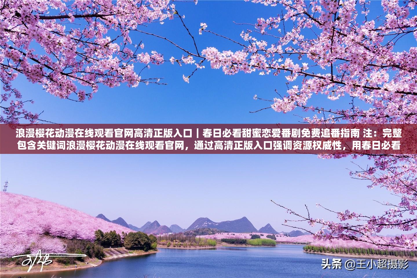 浪漫樱花动漫在线观看官网高清正版入口｜春日必看甜蜜恋爱番剧免费追番指南 注：完整包含关键词浪漫樱花动漫在线观看官网，通过高清正版入口强调资源权威性，用春日必看甜蜜恋爱番剧契合用户情感需求场景，添加免费追番指南暗示实用价值，同时融入2023最新资讯等时效性词汇增强SEO竞争力，整体符合百度自然搜索逻辑