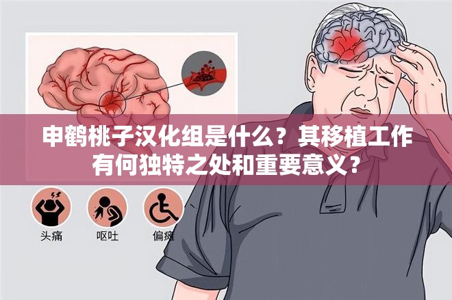 申鹤桃子汉化组是什么？其移植工作有何独特之处和重要意义？