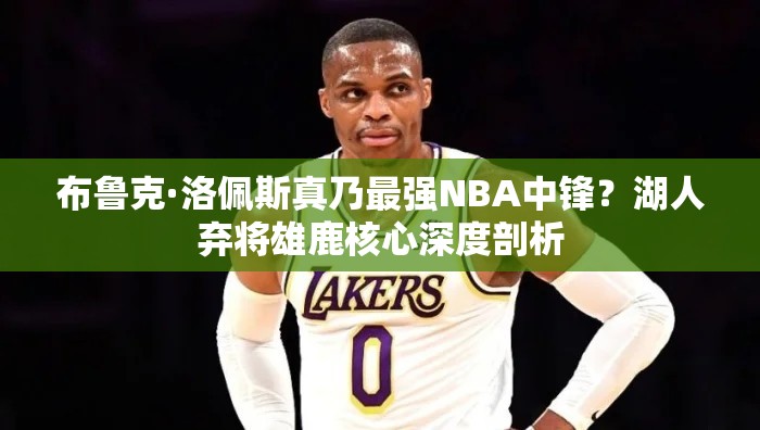 布鲁克·洛佩斯真乃最强NBA中锋？湖人弃将雄鹿核心深度剖析