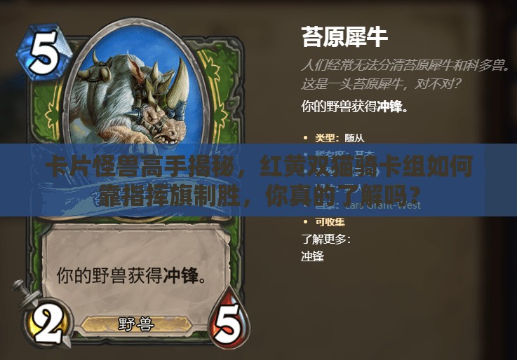 卡片怪兽高手揭秘，红黄双猫骑卡组如何靠指挥旗制胜，你真的了解吗？