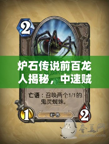 炉石传说前百龙人揭秘，中速贼蛛魔战术如何精准应对当前环境？