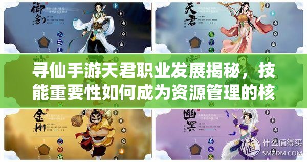 寻仙手游天君职业发展揭秘，技能重要性如何成为资源管理的核心疑问？