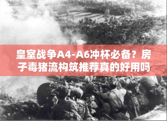 皇室战争A4-A6冲杯必备？房子毒猪流构筑推荐真的好用吗？