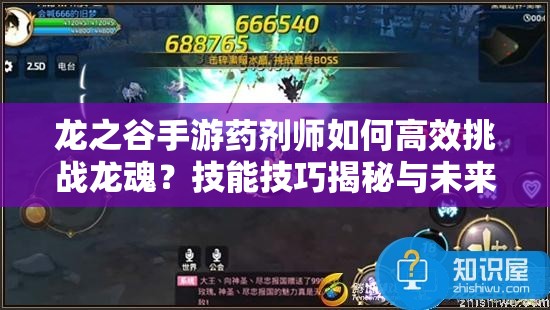 龙之谷手游药剂师如何高效挑战龙魂？技能技巧揭秘与未来玩法展望