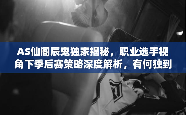 AS仙阁辰鬼独家揭秘，职业选手视角下季后赛策略深度解析，有何独到见解？