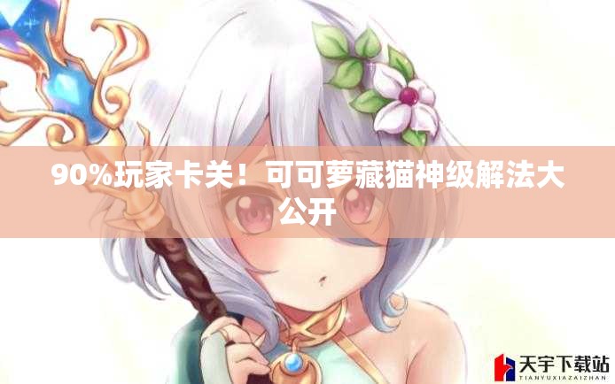 90%玩家卡关！可可萝藏猫神级解法大公开