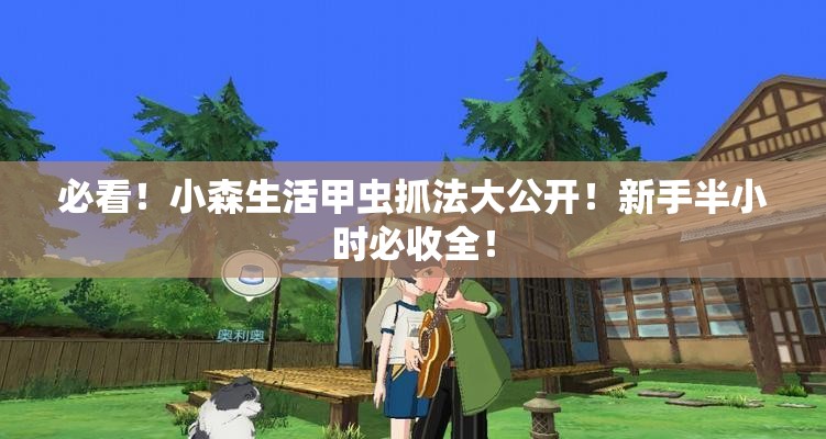 必看！小森生活甲虫抓法大公开！新手半小时必收全！