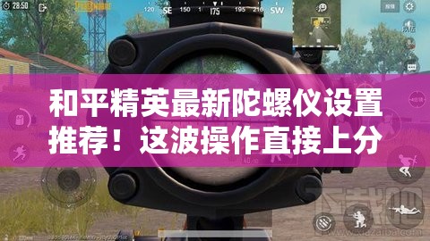和平精英最新陀螺仪设置推荐！这波操作直接上分如喝水