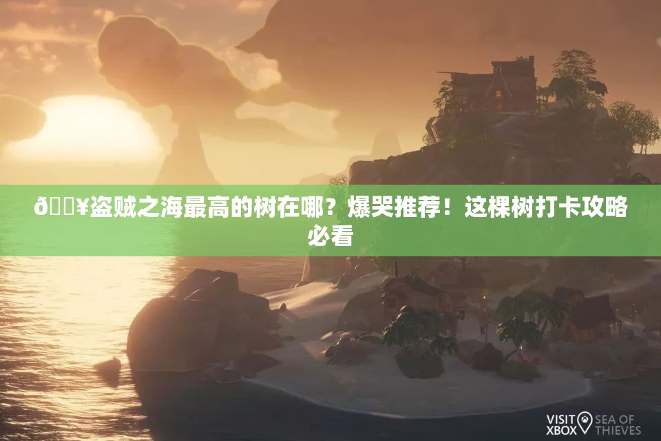 🔥盗贼之海最高的树在哪？爆哭推荐！这棵树打卡攻略必看